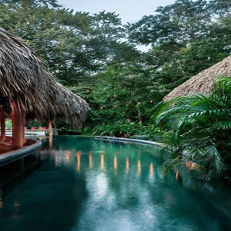 The Space Jungle Oasis Сан-Хуан-дель-Сур Экстерьер фото